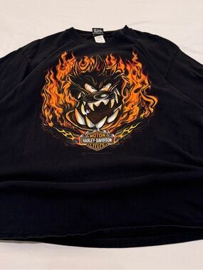 Vintage Harley-Davidson Taz Biker Black T-Shirt with Fiery Orange Yellow flames